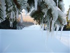 SKI AREL PVRAT V ORLICKCH HORCH 
(klikni pro zvten)