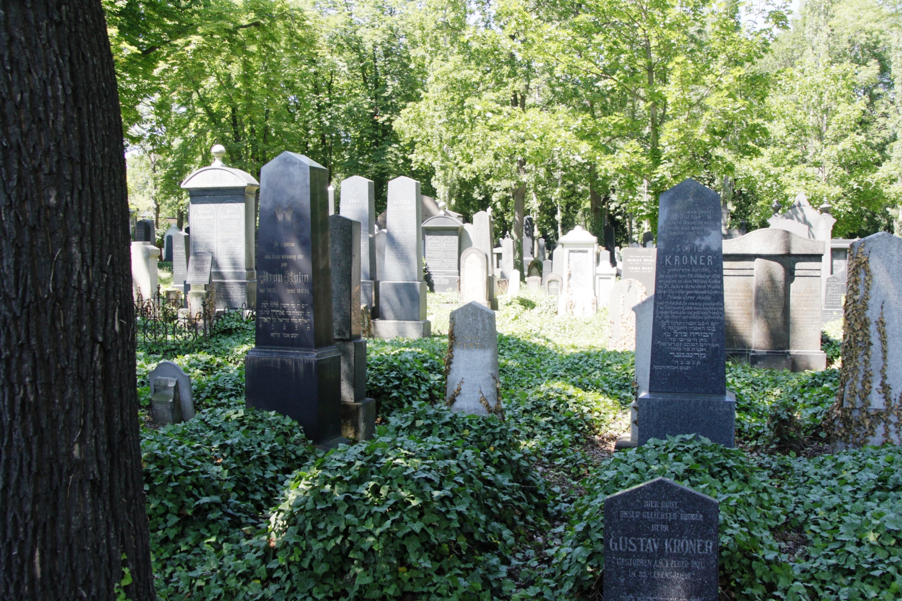 OLŠANSKÉ HŘBITOVY - PRAHA 3, Žižkov