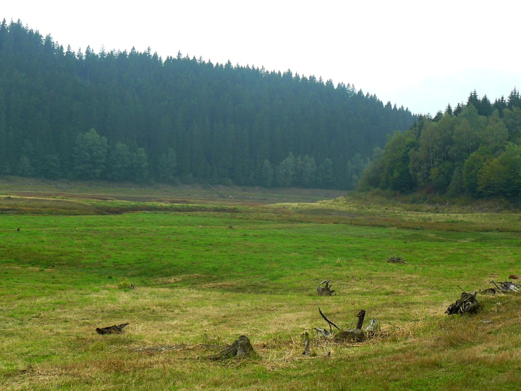 PEHRADA ANCE - podstav vody 2015