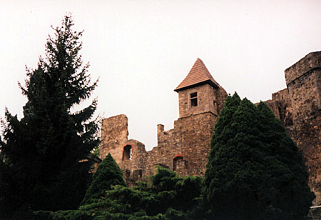 Klenová
