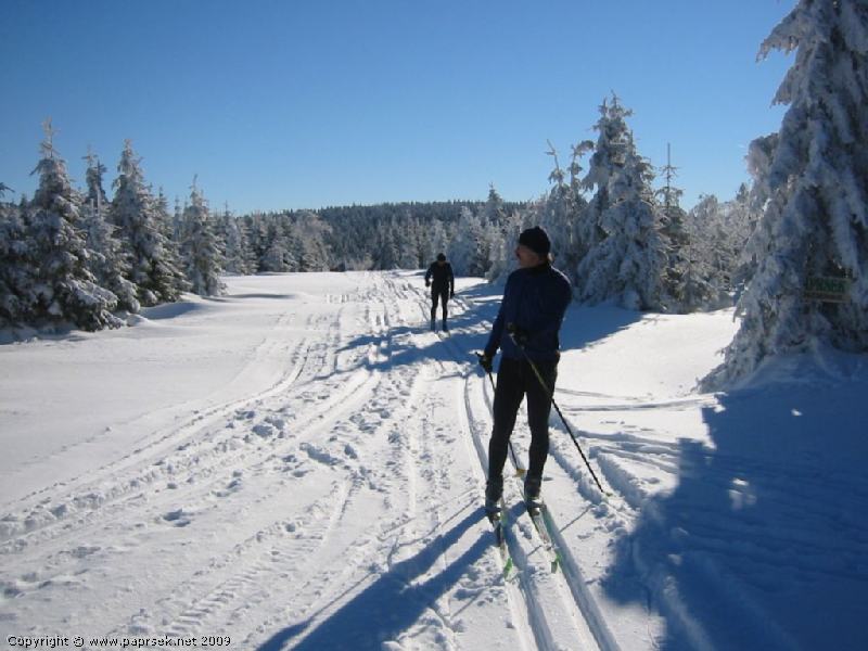 SKI AREL PAPRSEK U STARHO MSTA POD SN̎NKEM