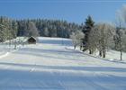 SKI AREL ZLATNK 
(klikni pro zvten)