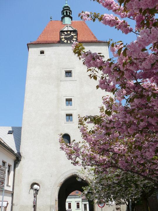 Muzeum kuriozit sídlí v Jihlavské bráně 