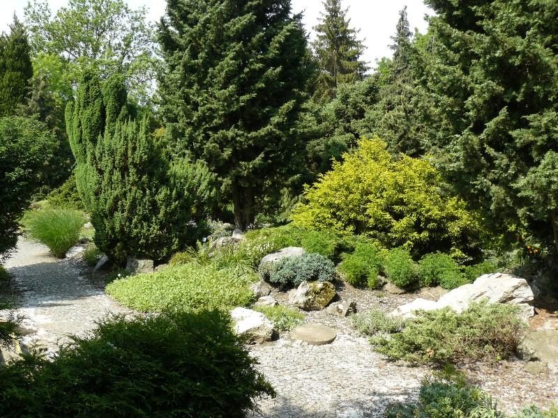 Alpinum - Botanick zahrada